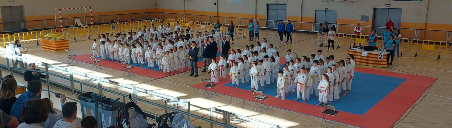 KARATE TRADICIONAL PIRINEUS